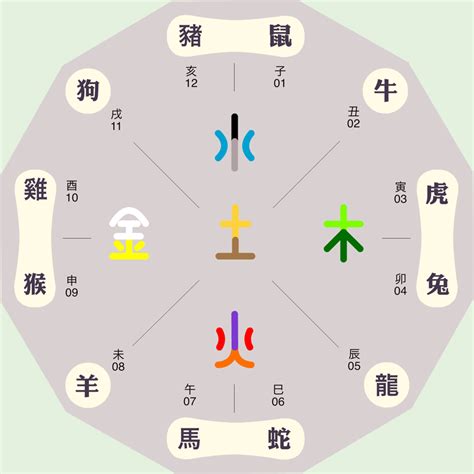 子 屬性|子字五行屬什麼,子字屬於五行中的什麼？